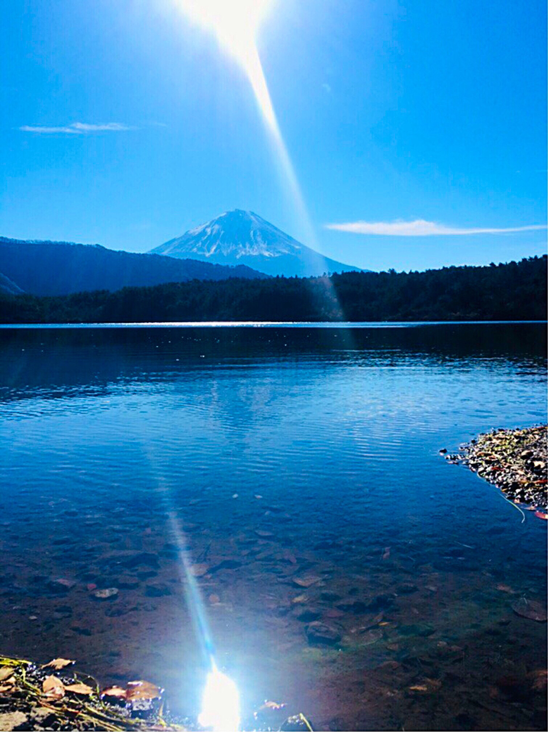 Mount Fuji Houses For Sale